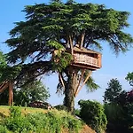 Chateau De Scandaillac