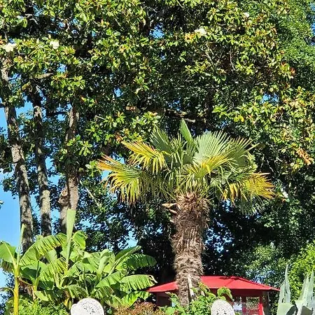 Chateau De Scandaillac Pensjonat 4*