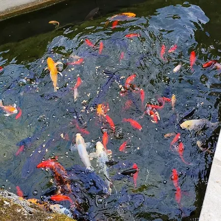 Chateau De Scandaillac Pensjonat