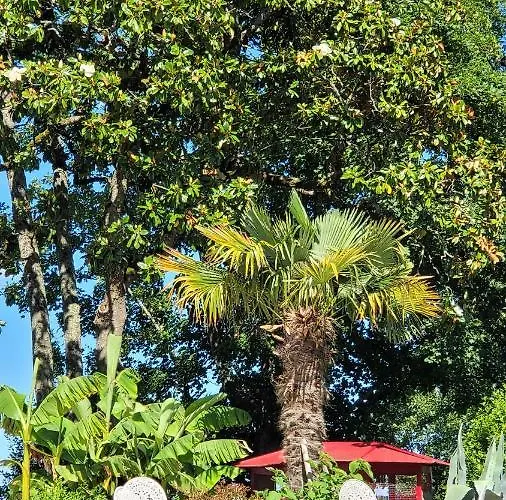 Chateau De Scandaillac Gasthof 4*