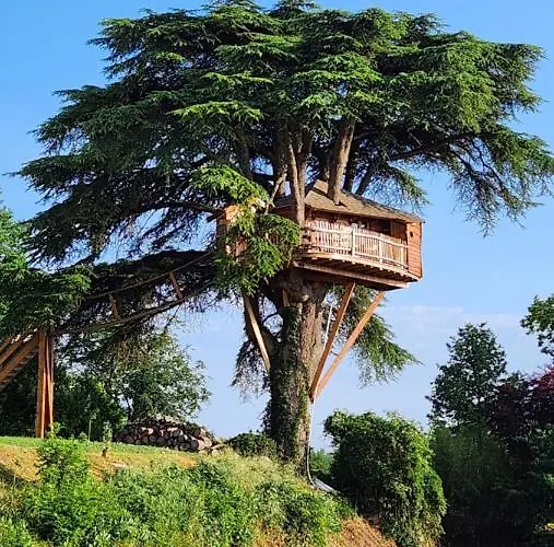 Chateau De Scandaillac